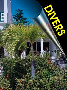 XX 000 DIVERS